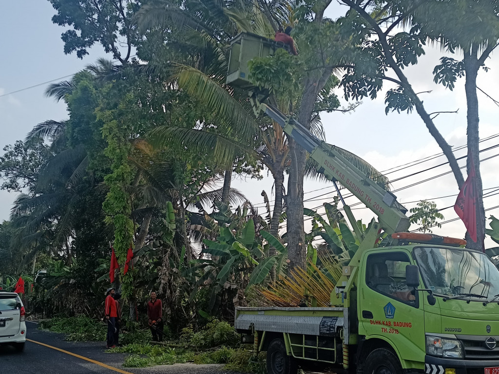 Lanjutan Kegiatan Pemangkasan Pohon Jaur utama Denpasar - Singaraja Sekitaran Sembung